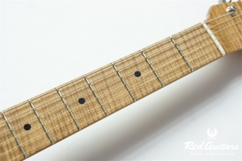 XTC-1 Heavey Aged/Ash/Master Grade Neck